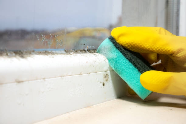 Water Damage Restoration in Countryside, VA