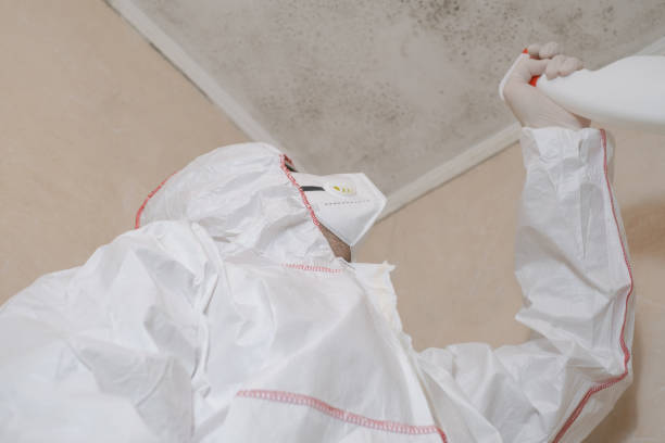 Best Toxic Mold Removal  in Countryside, VA