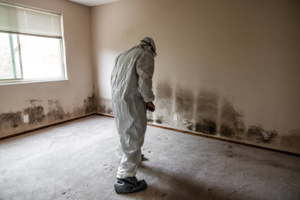 Best Mold Testing  in Countryside, VA